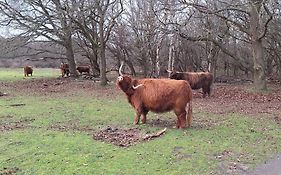 Bijzonder Bakkum